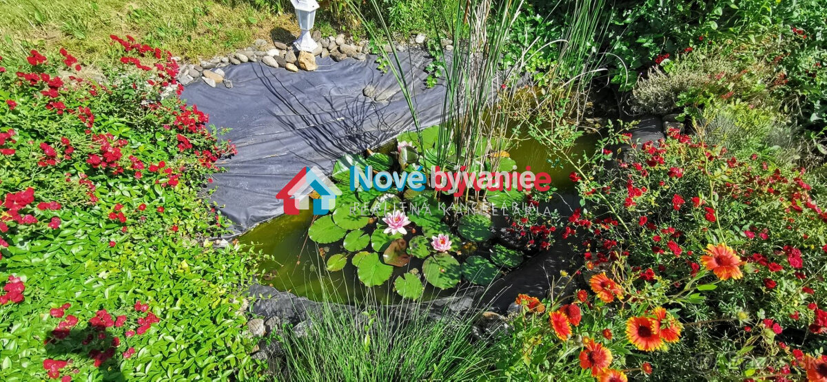 Predaj, viničný dom - Levice (N035-13-MAHA) - 10