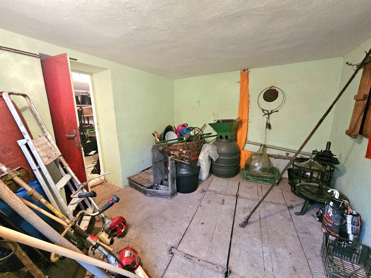 Viničný dom s vinicou Staré Predné Levice - 10