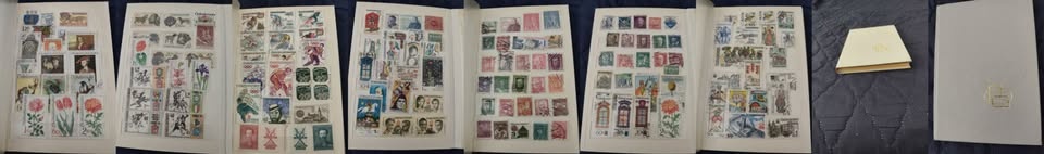 Predaj albumu pre zaciatocnika - 10