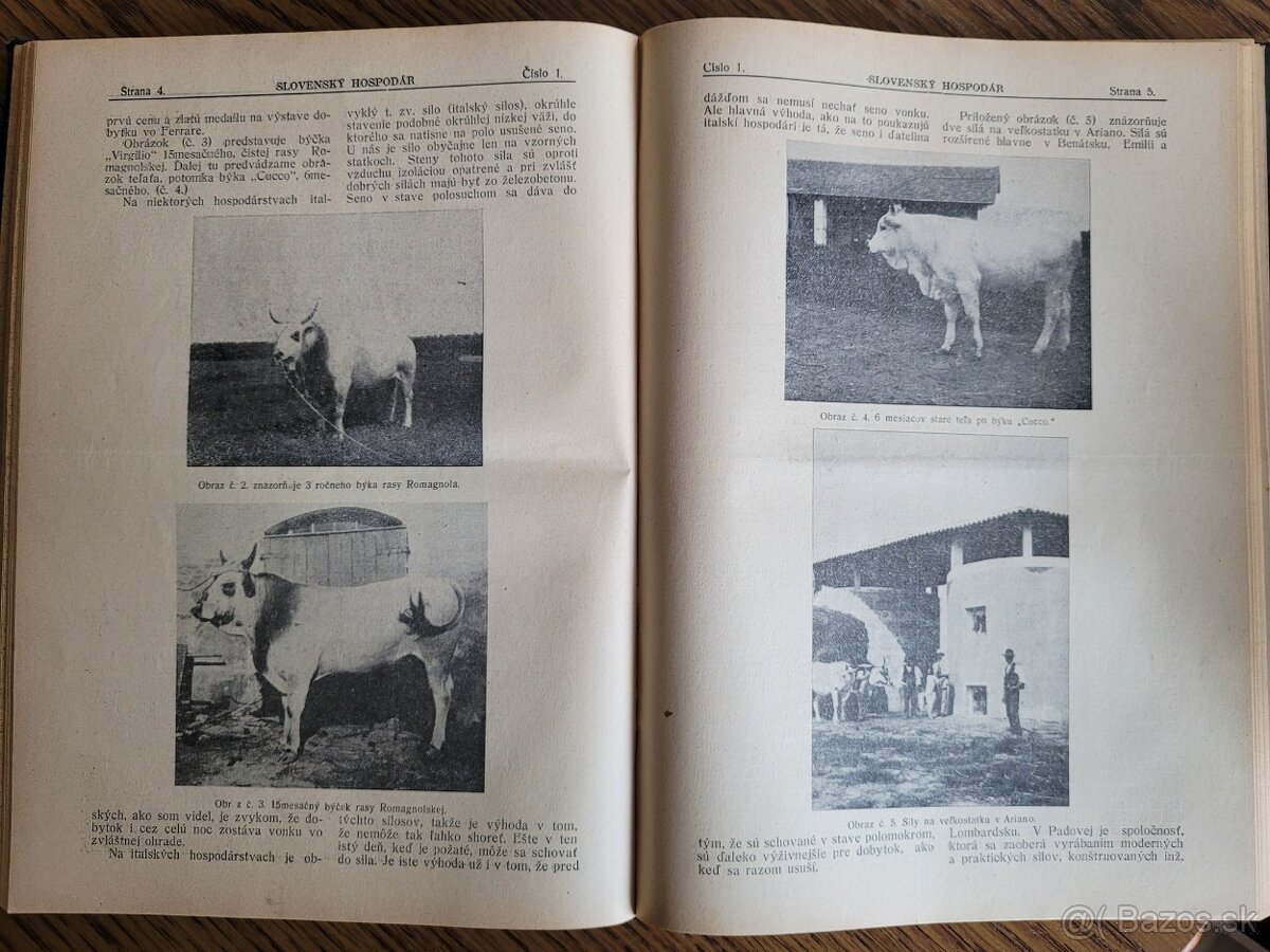 Slovenský hospodár 1924,1925 - 10