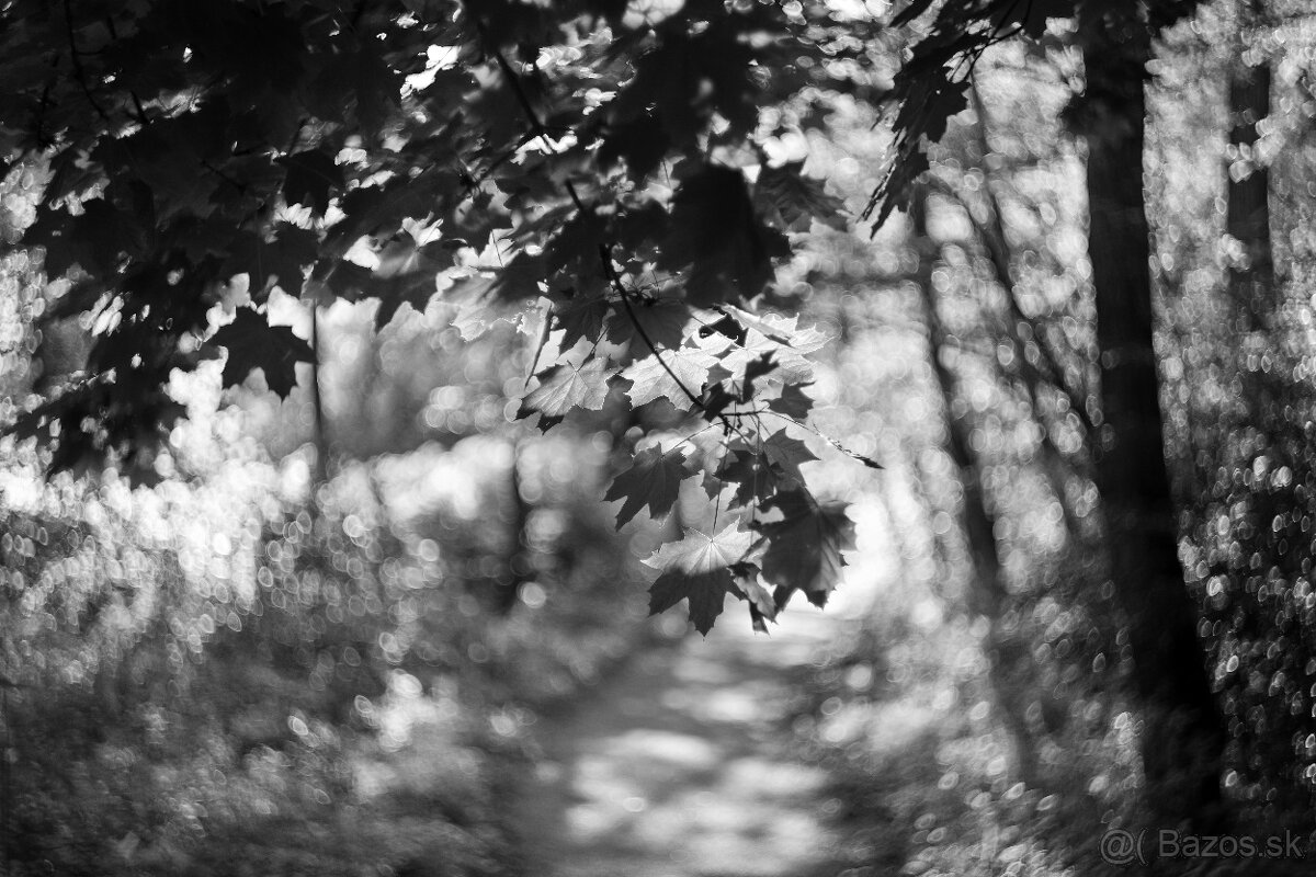 Carl Zeiss. Biotar 2/58mm - 10