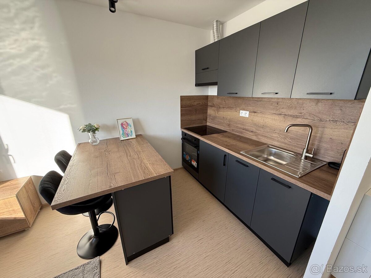 Prenájom 1-iz.byt - 10
