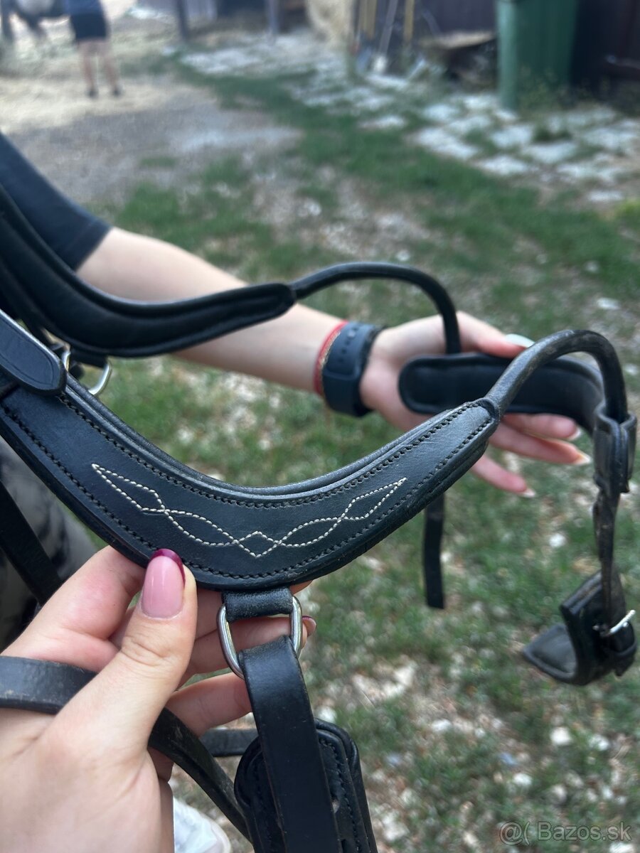 Sedlo a uzda - 10