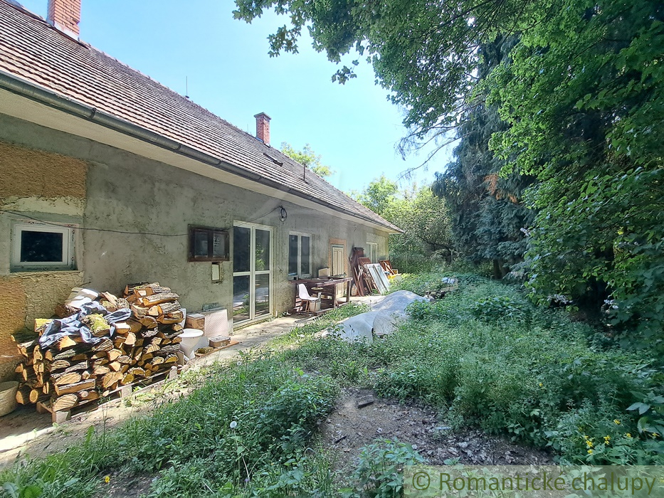 Dom uprostred lesa na samote - útočisko pred ruchom mesta - 10