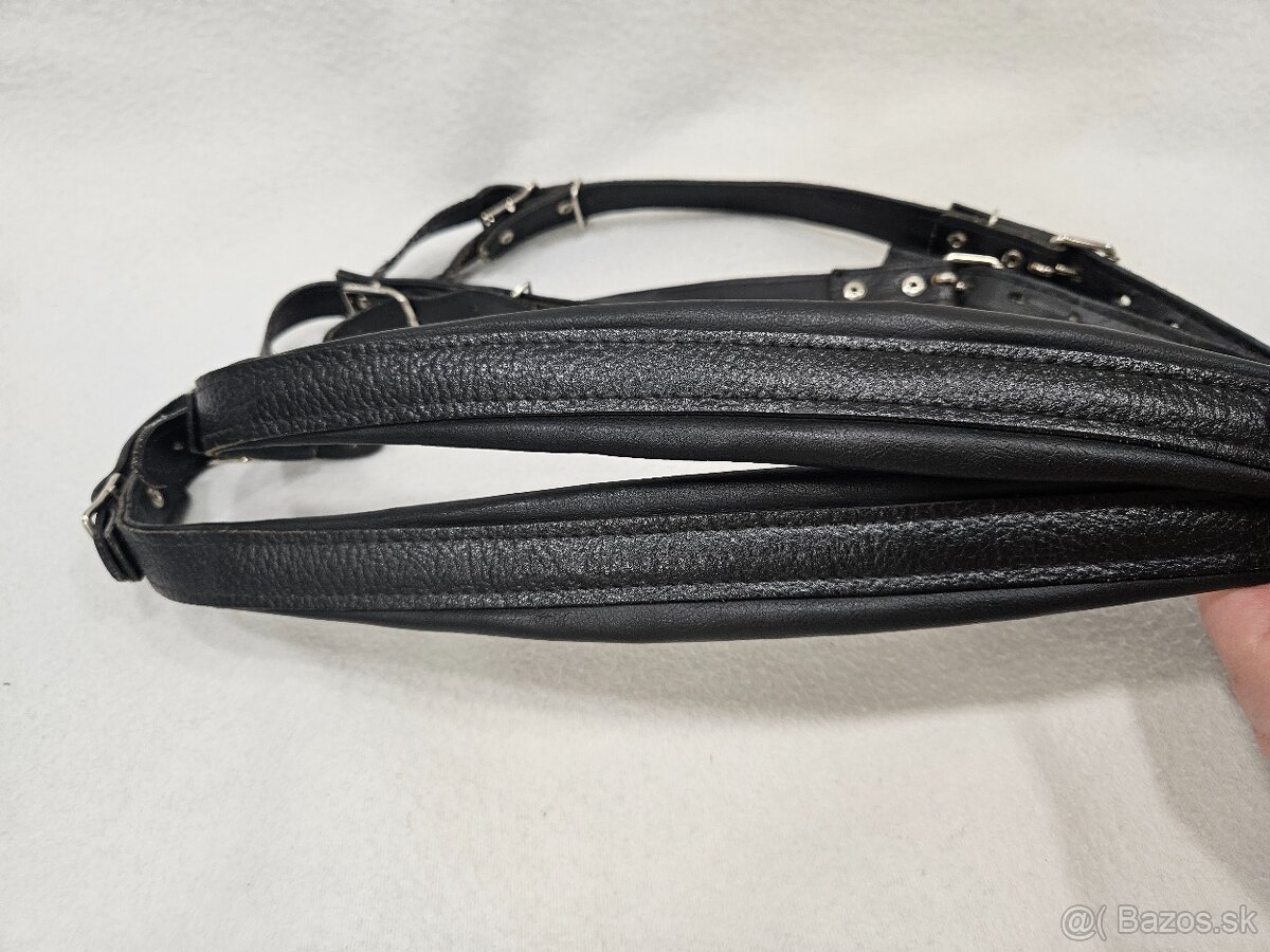 Akordeon chromaticky delicia sonorex 120 - 10