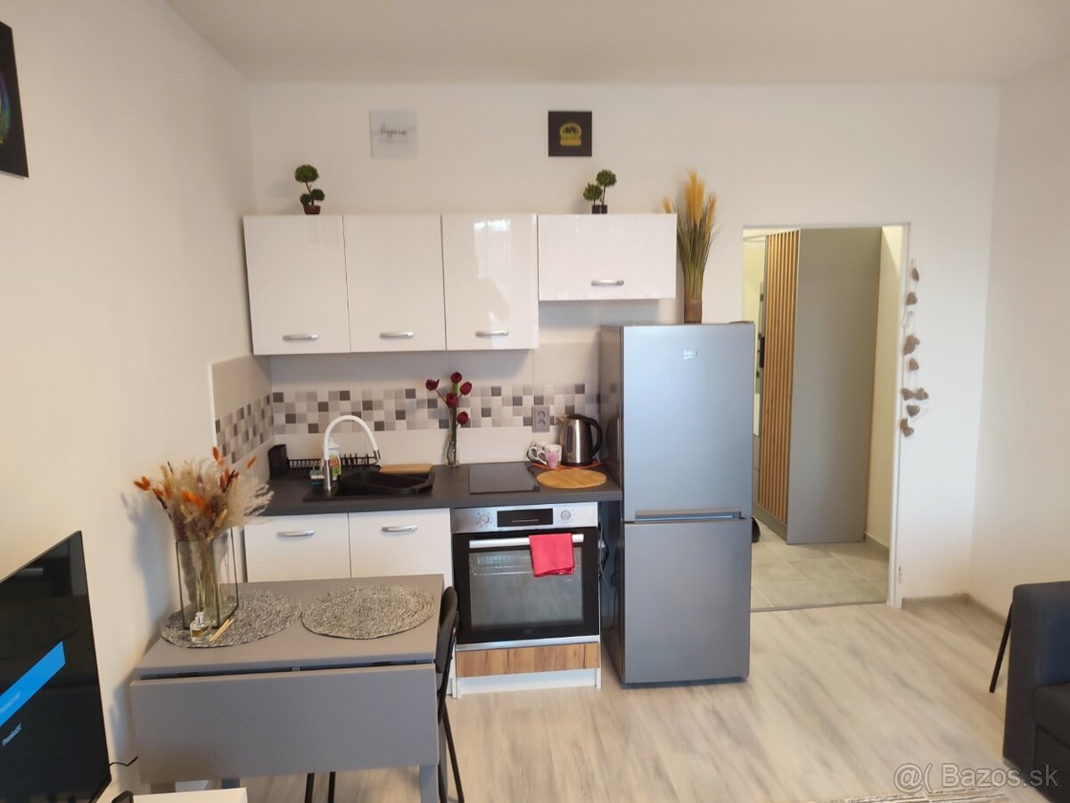 Pekná garsónka v centre mesta.Nice studio apartment in the c - 10