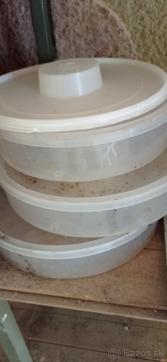 Včely, chov včiel - 10