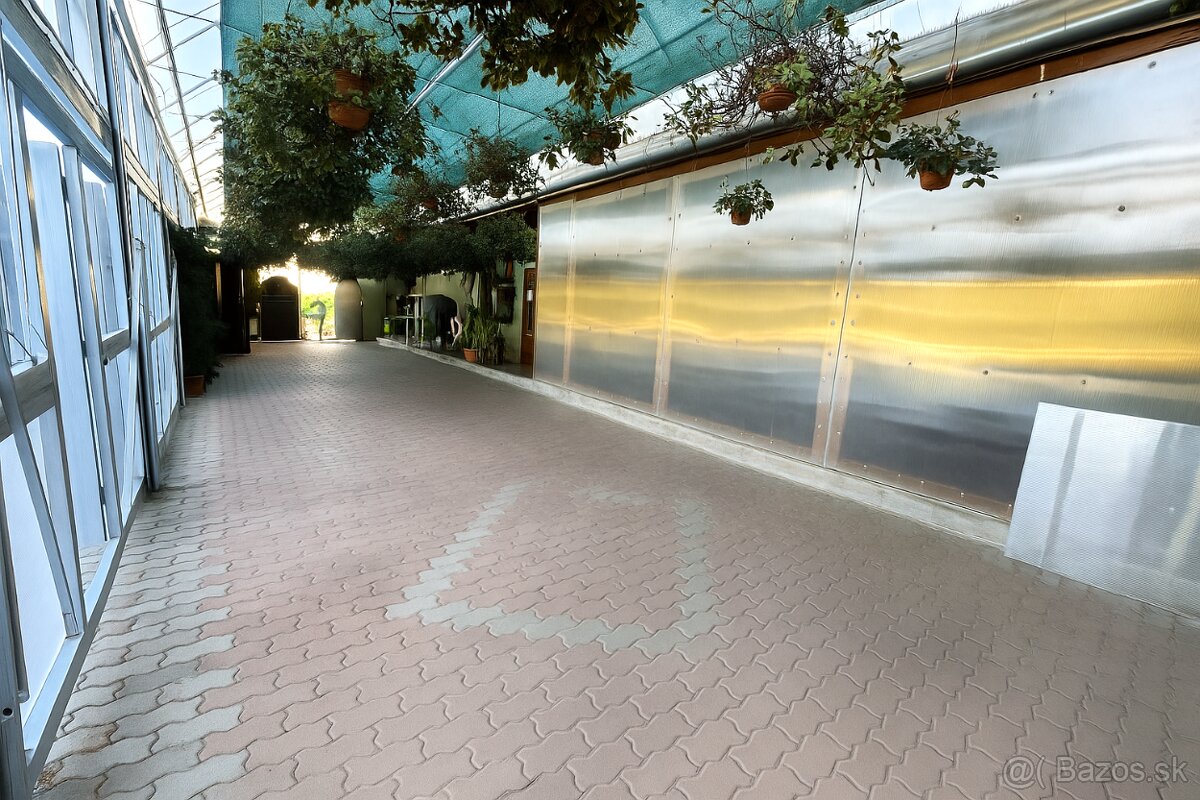 Reštaurácia + byt (podkrovie) v Hrádku (Nové Mesto n.Váhom) - 10