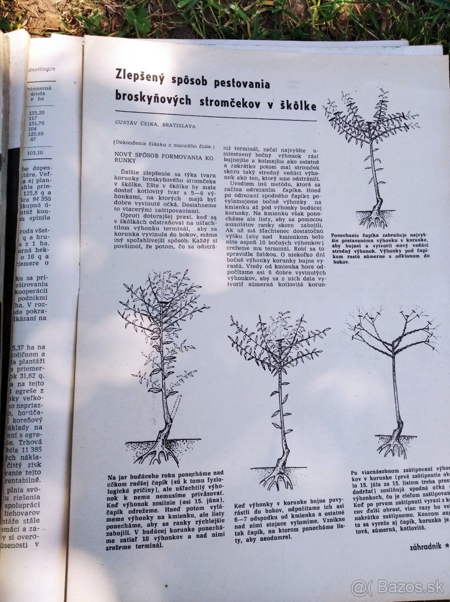 Staršie časopisy záhrada - 10