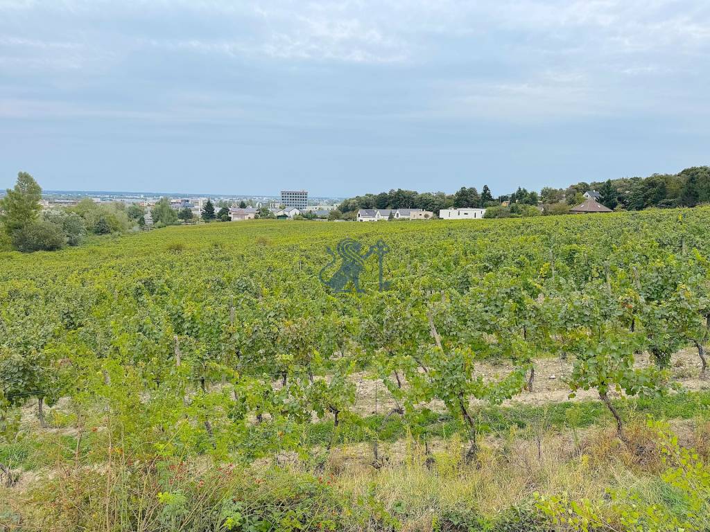 PREDAJ 5i rekreačný RD | Pekná cesta | Lesopark Rača - 10