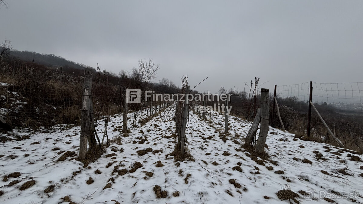 REZERVOVANÉ - Vinohrad 1862 m², v meste Pezinok + 3D - 10