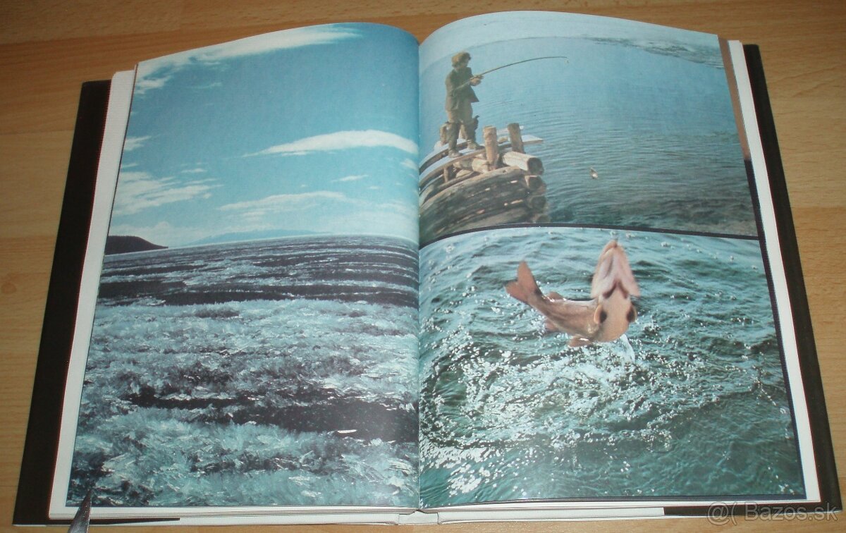 Černý sobol, hnědý medvěd - 10