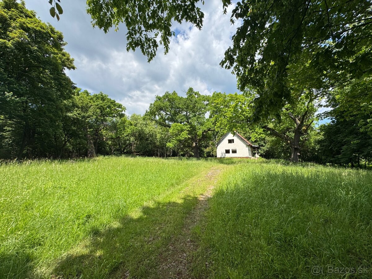 Hatfa - bývale kúpele v obci Viničky - 10
