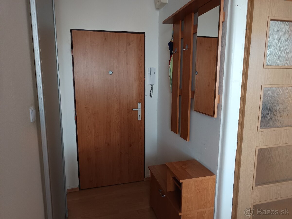 1 izbový byt na prenájom - 10