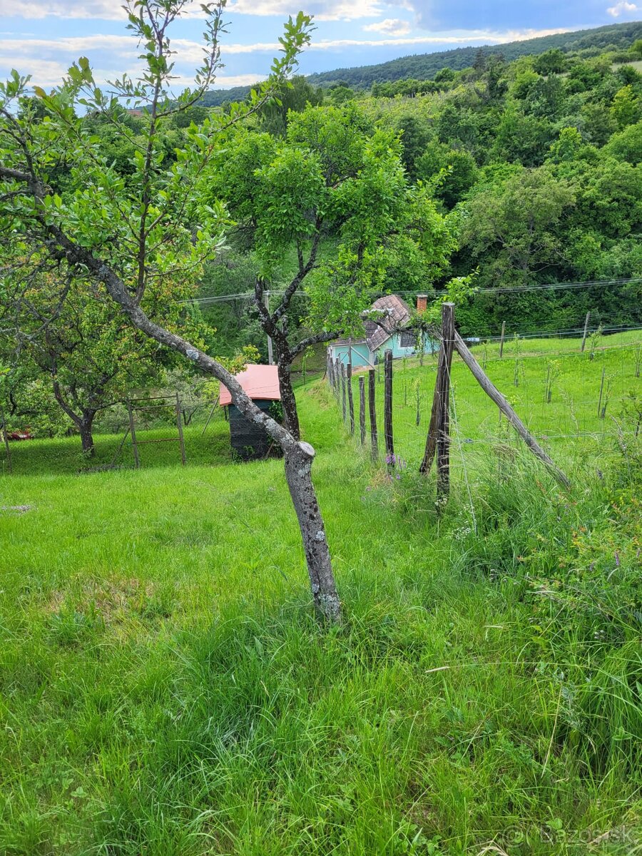 Viničný dom + vinica + ovocný sad, Čajkov, Štiavnické vrchy - 10