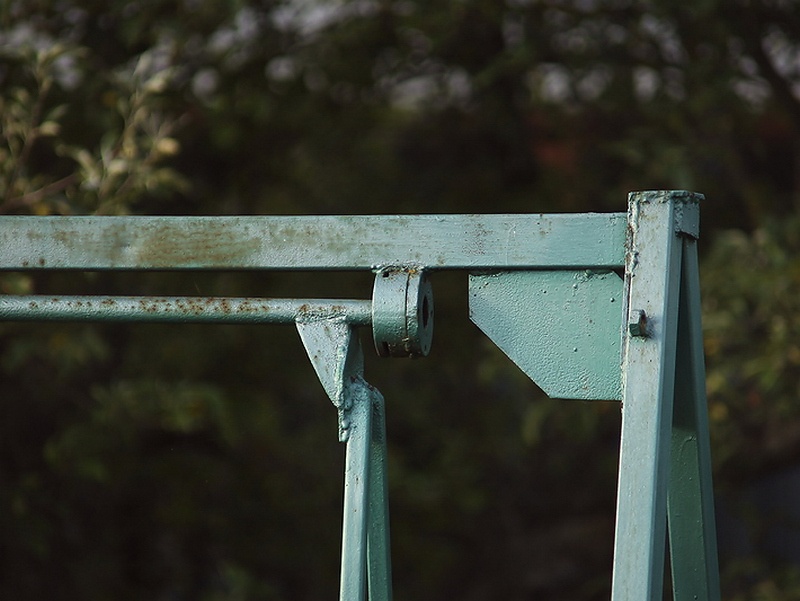 Zoom-Nikkor 80-200mm / F4,5 / Nikon F - 10