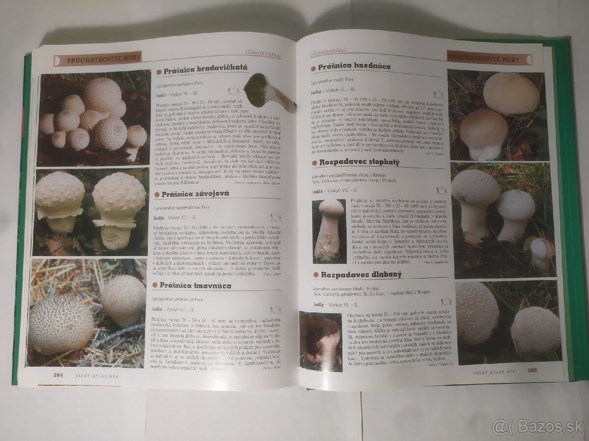 Veľký atlas húb - 10
