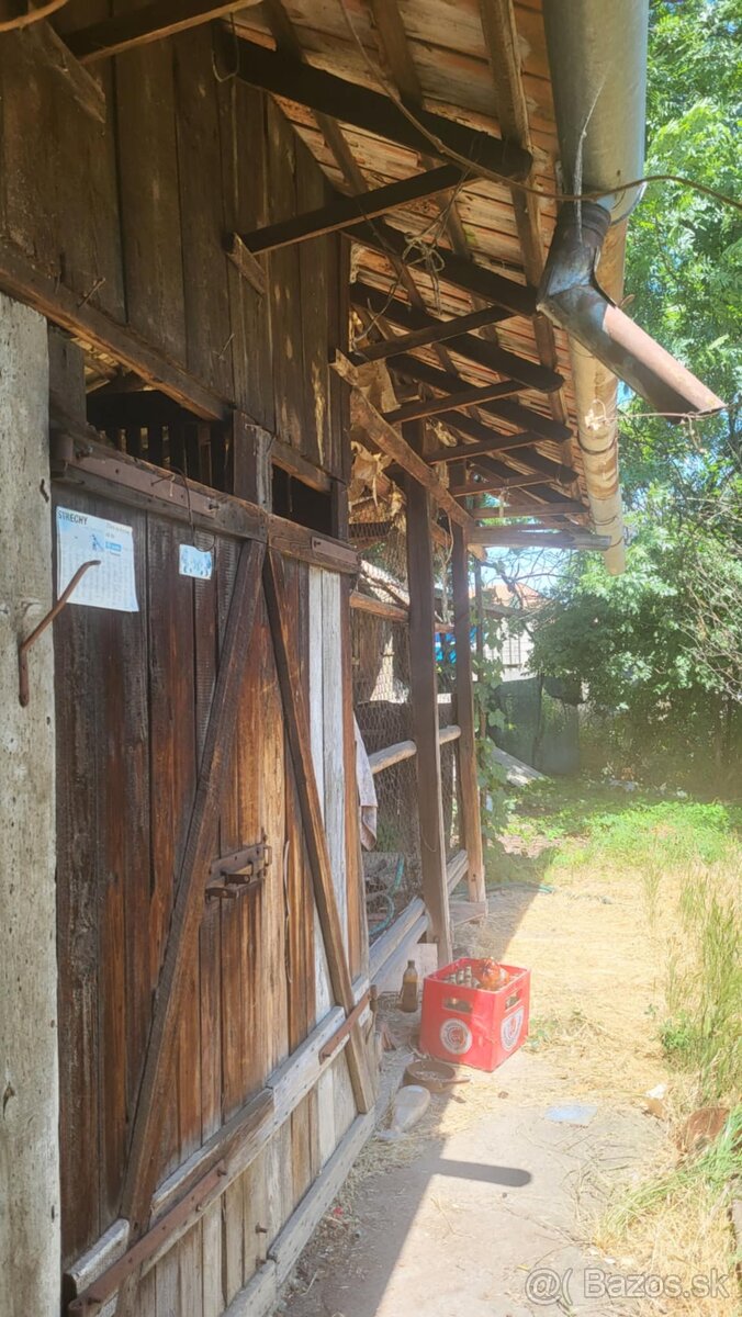 Na predaj RD Tekovské Lužany Veľký pozemok - 10