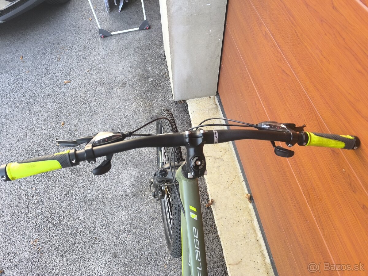 Vedora Camouflage - 10