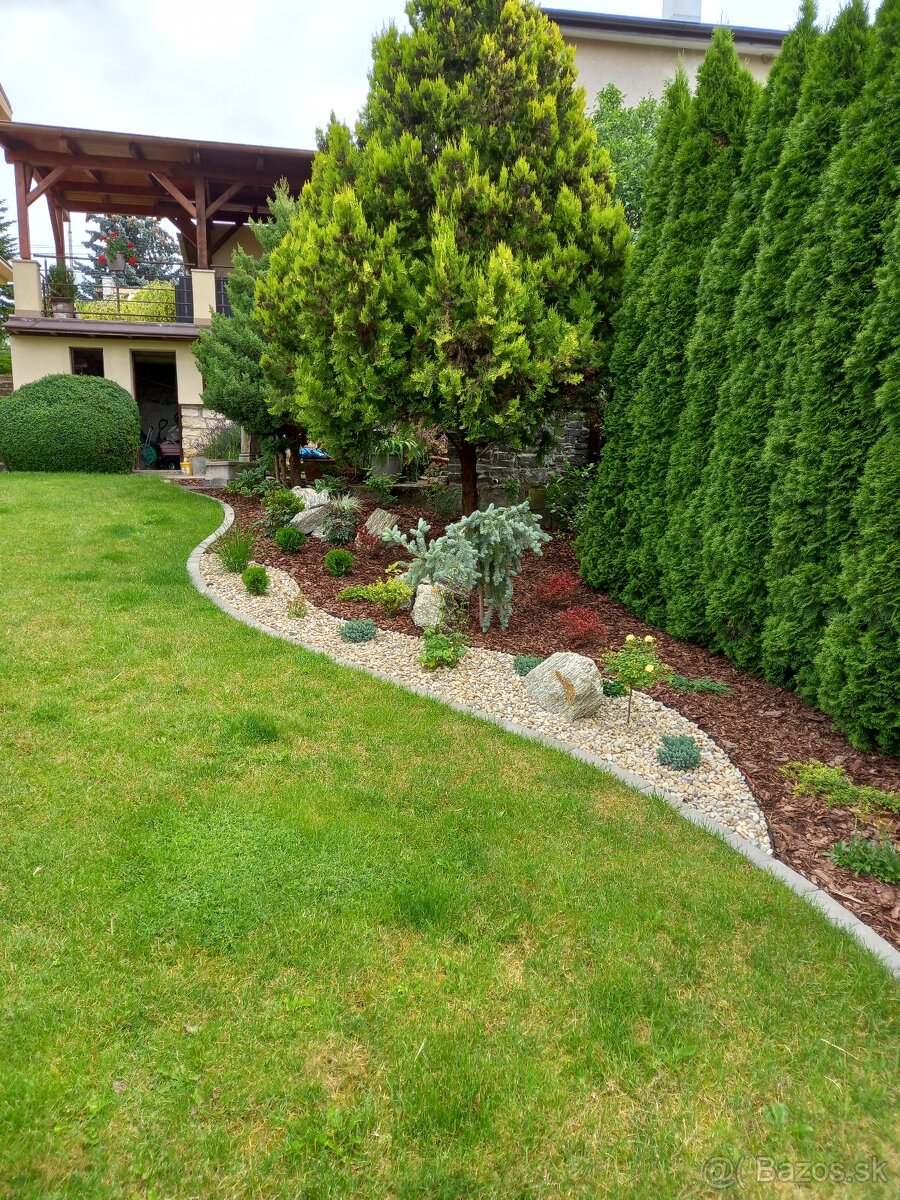 Realizácie záhrad,rez ovocných stromov a drevín - 10