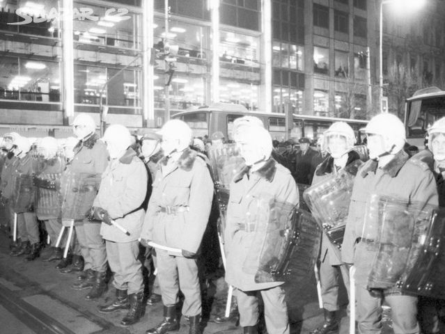 ZNB VB kožich výložky kpt. uniforma - 10