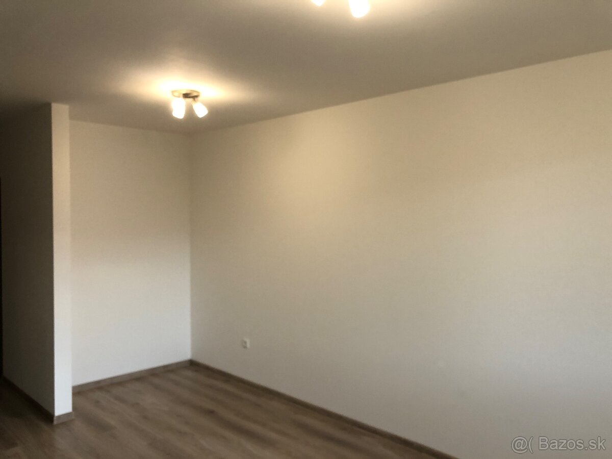 Prenájom 1izbovy byt - 10
