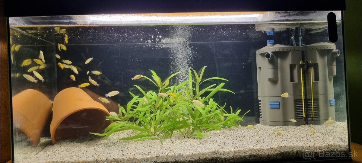 Akvárium a Filter - 10