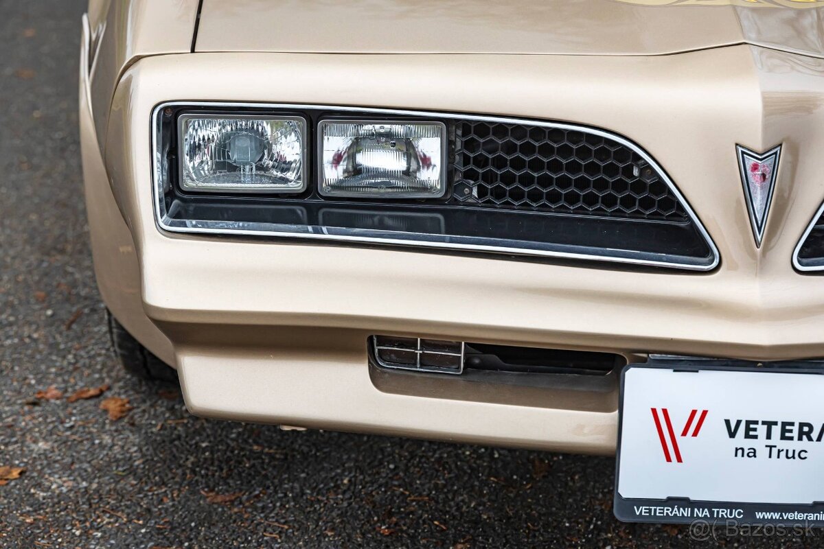 Pontiac Firebird Trans-Am 1977 - 10