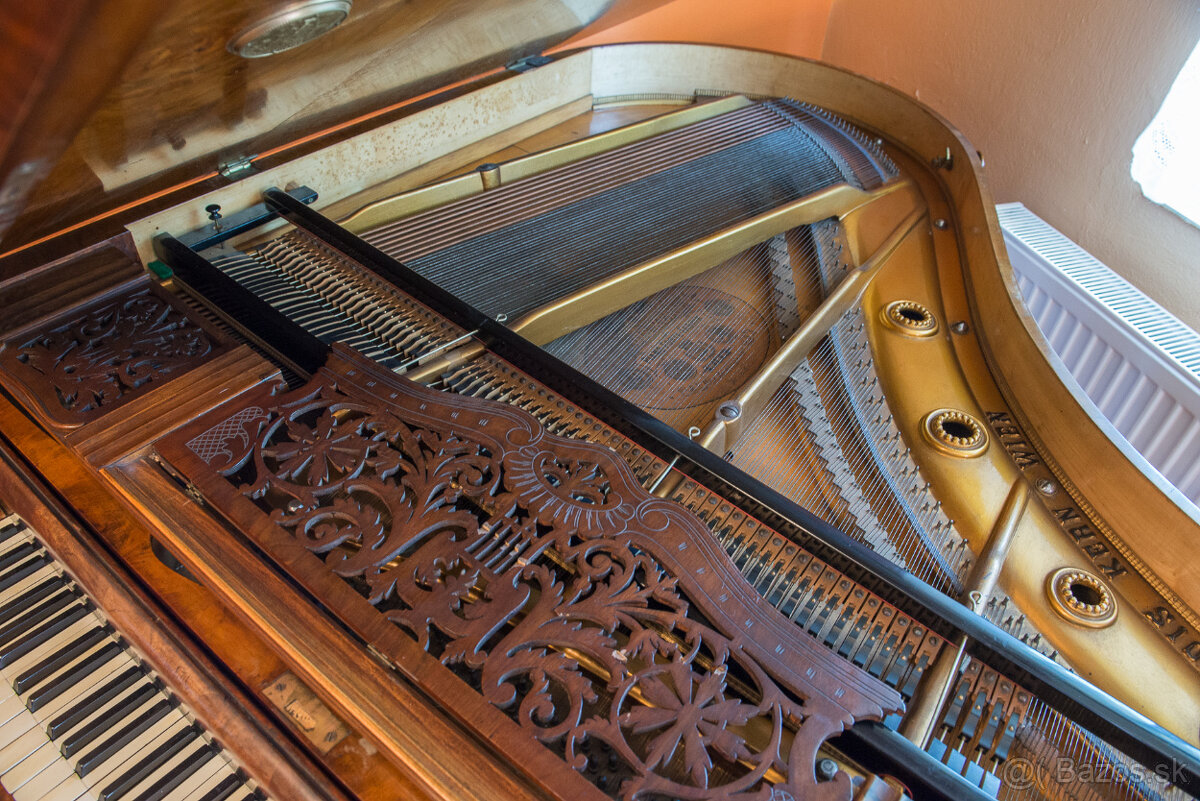 ALOIS KERN PIANO FORTE - 10