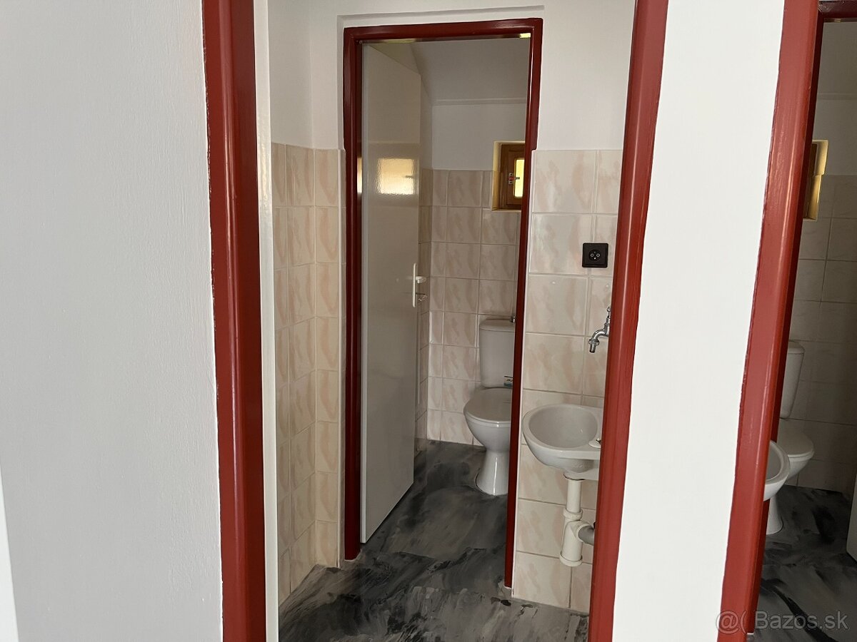 Obchodné priestory v centre obce Borský Mikuláš - 10