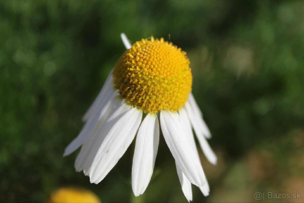 canon eos 4000d - 10