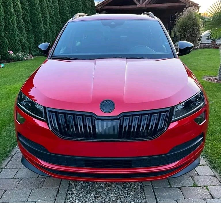 Farebné znaky - logo na ŠKODA - 10