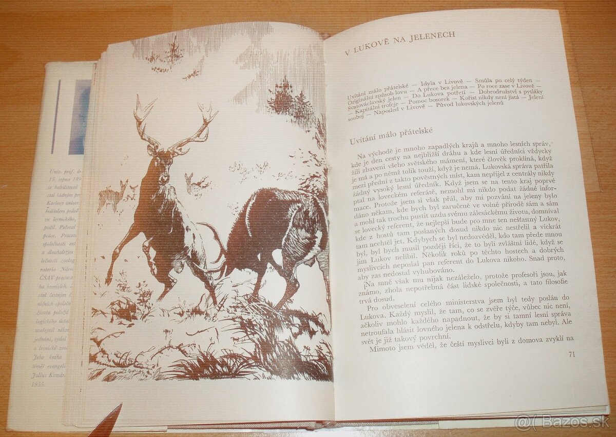 Lovy v Karpatech - 10