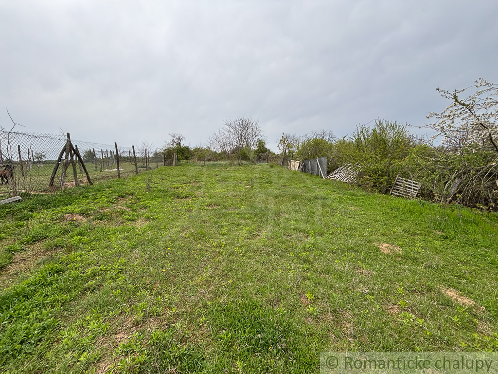 Starší rodinný dom s 20 á pozemkom v Sasinkove na predaj - 10