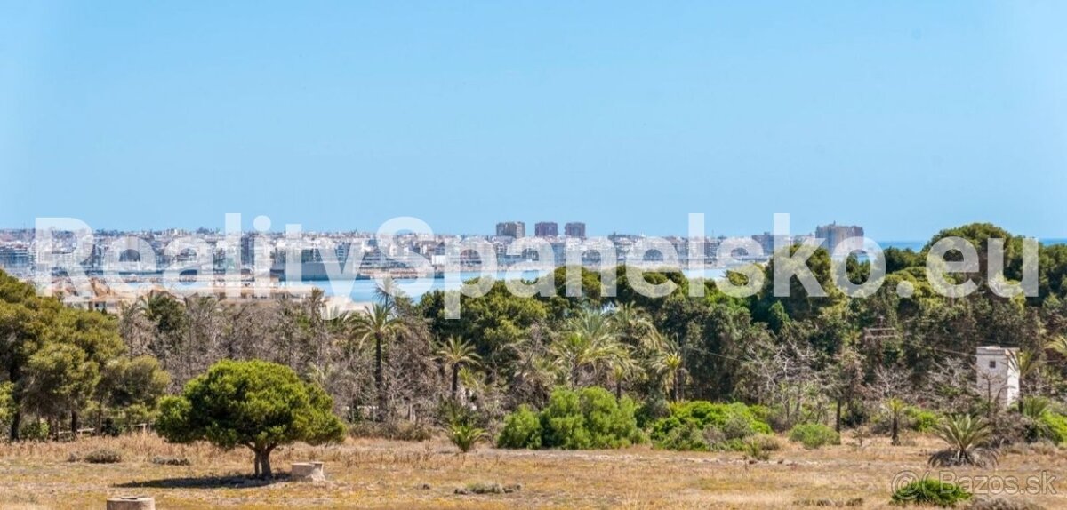 Apartmán 3+kk Španělsko / Punta Prima 230.000 eur ŠPANĚLSKO - 10