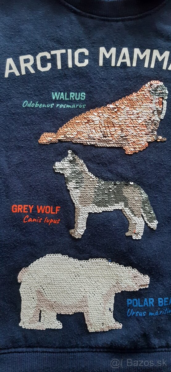 Mikiny pre chlapcov (bez zapínania),veľ.110, 110/104, 104/98 - 10