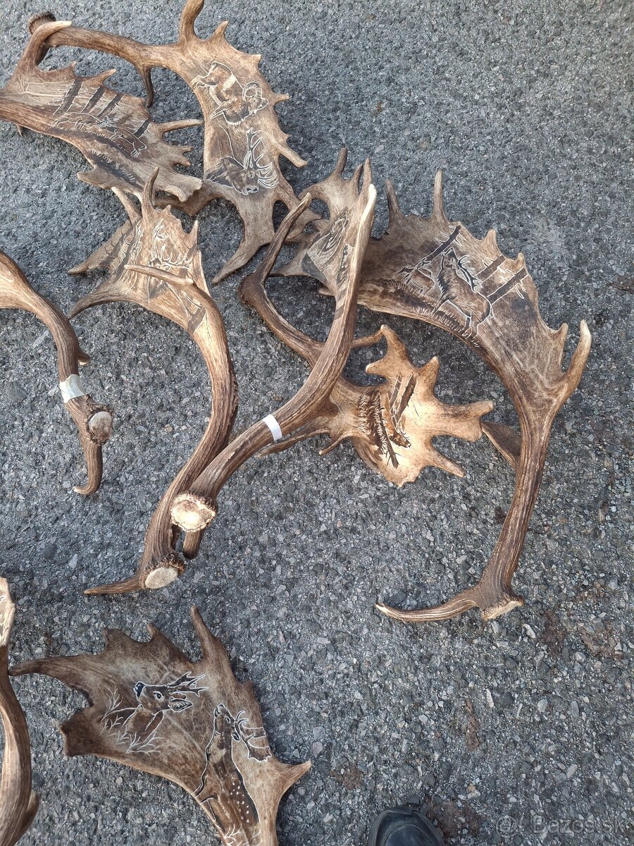 Parohy,zhody,trofeje - 10