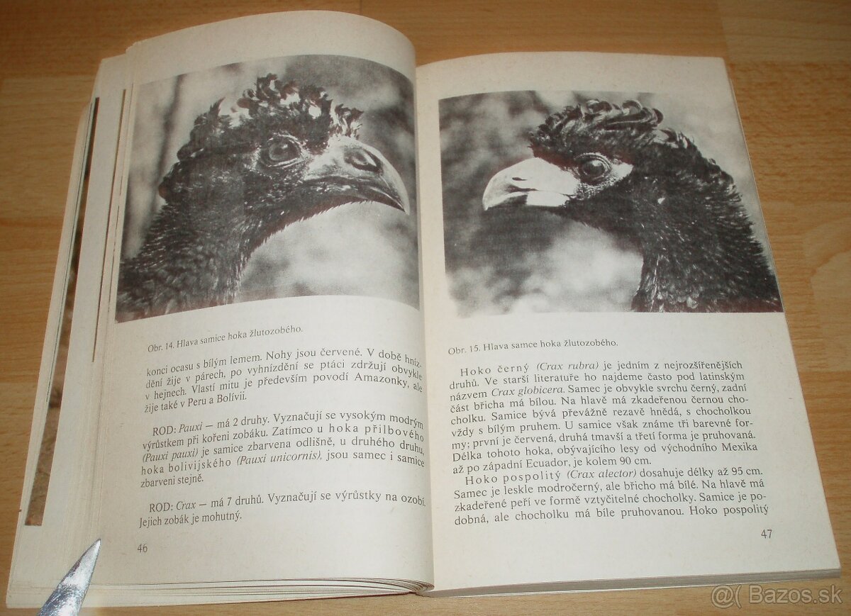 Bažanti a ostatní hrabaví - 10