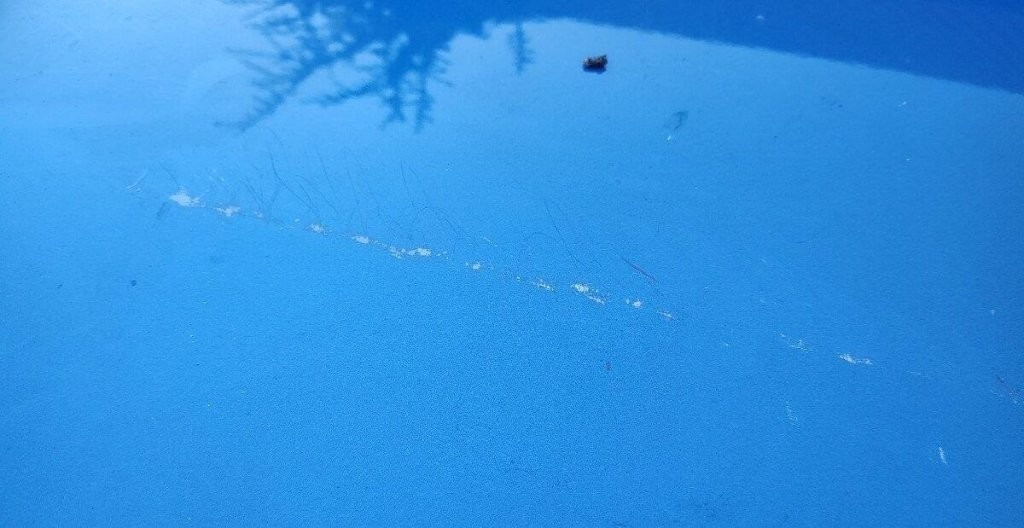 Ford Focus IV 4 MK4 2018 - 2022 - predna kapota - 10