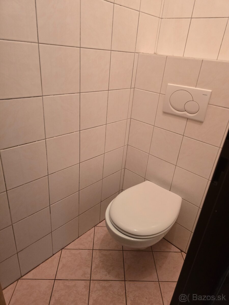 Ponúkam obchodné priestory, možnosť prevádzky - 10