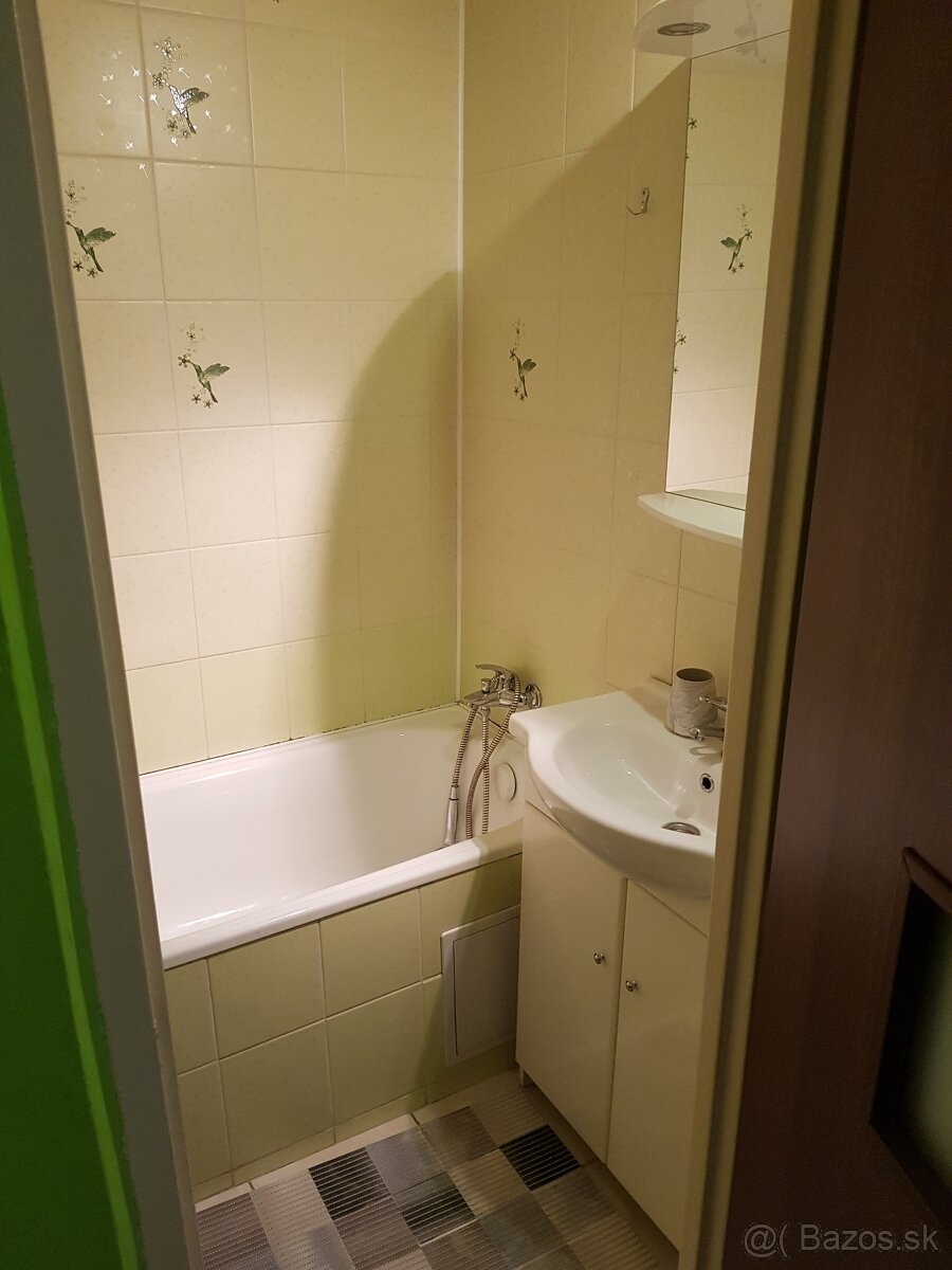 Prenájom 1-izbový byt Terasa,Pokroku/ Rent 1-room appartment - 10