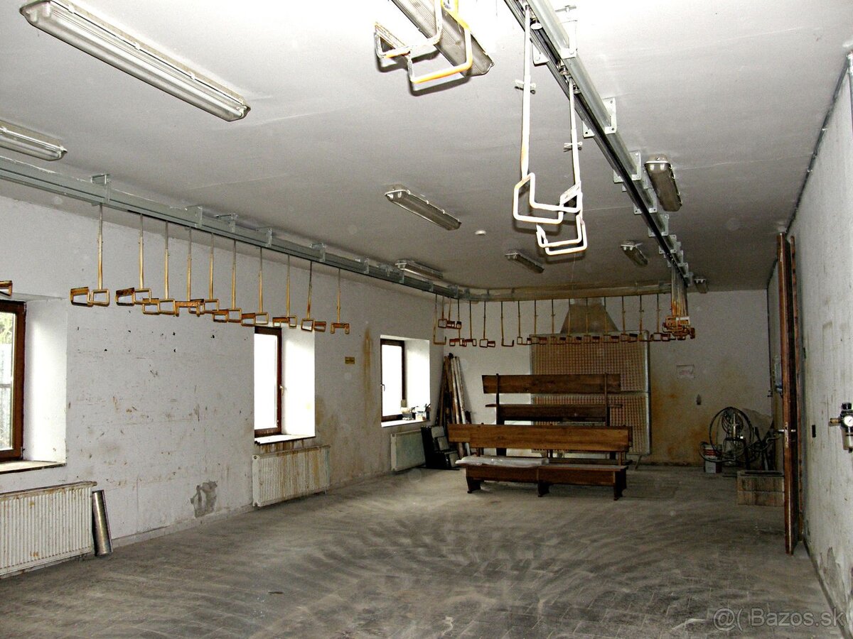 Stolárstvo, obchod, pohostinstvo, priestory na podnikanie - 10