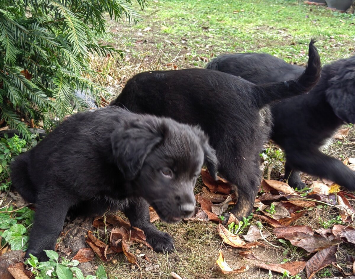 Darujem zadarmo - 10