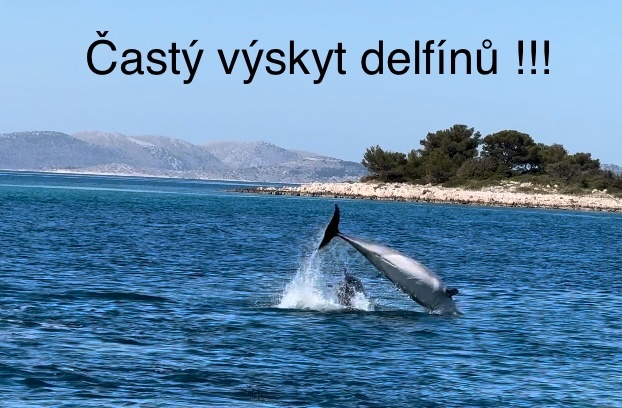 Apartmány Chorvátsko - prenájom - 10