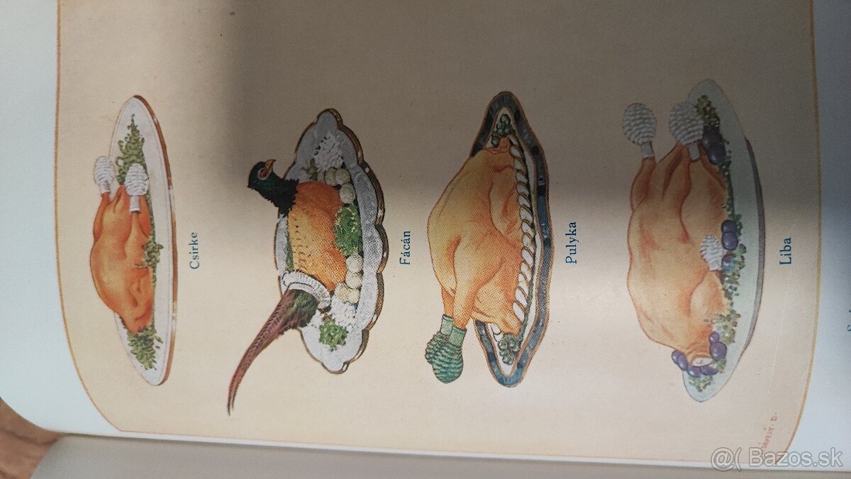 Starý lexikon. - 10