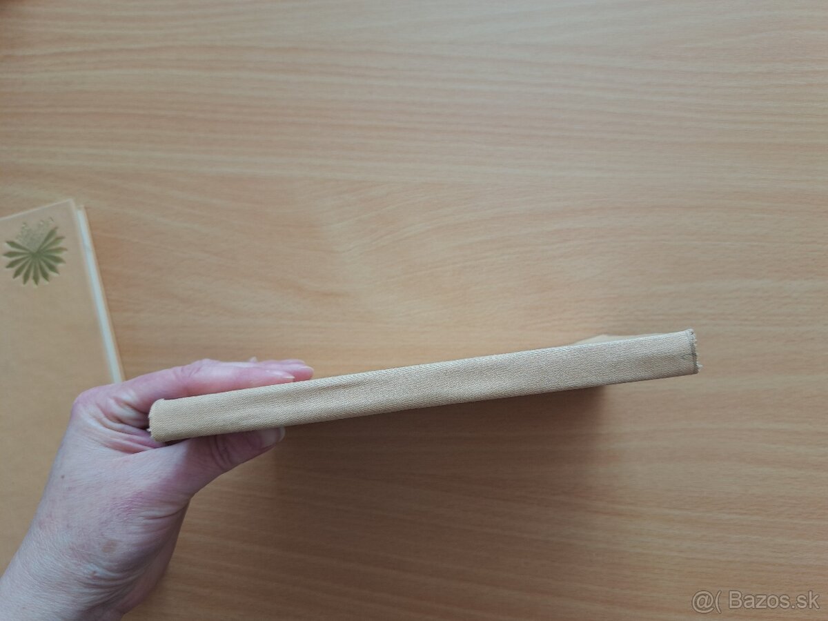 Vladimír Roy: Rosou a tŕnim - 10