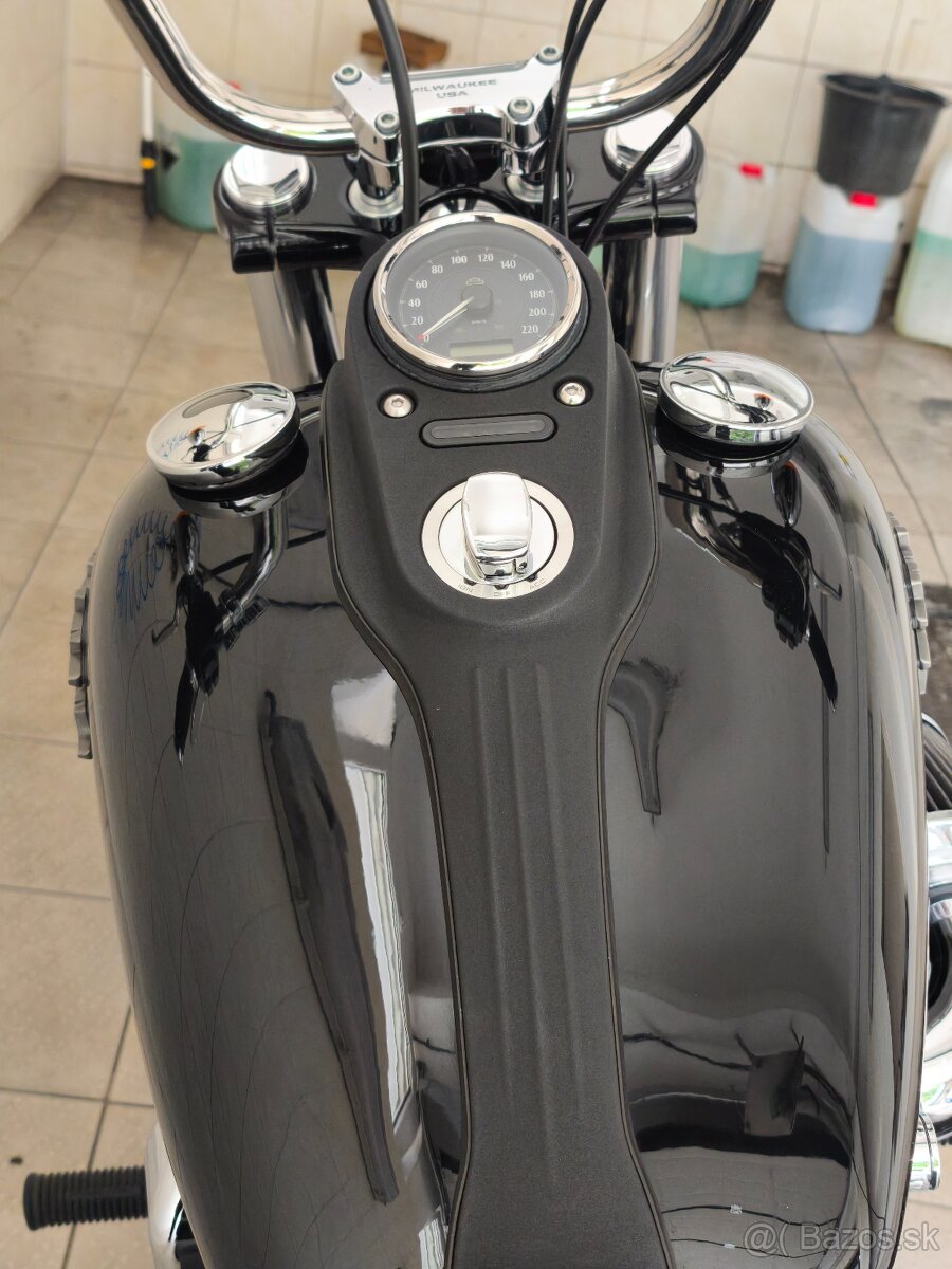 Harley Davidson Street Bob 103 - 10