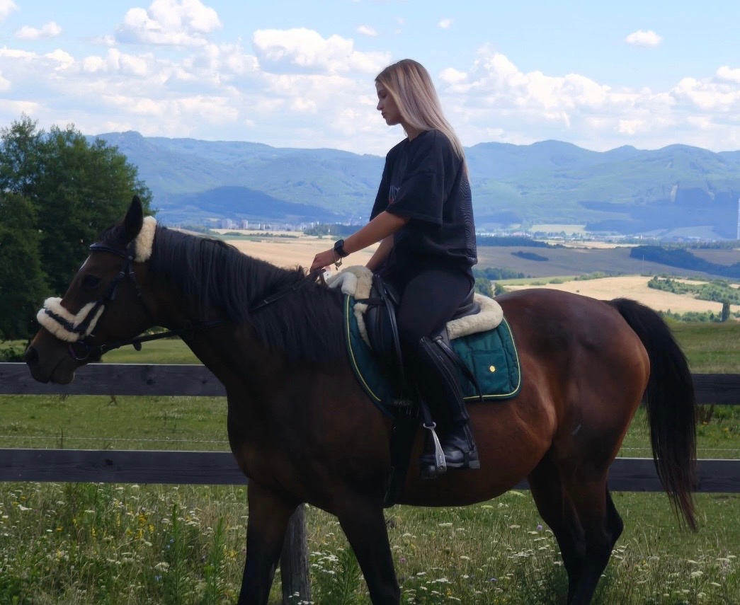 Kobylka Sagoyka - 10