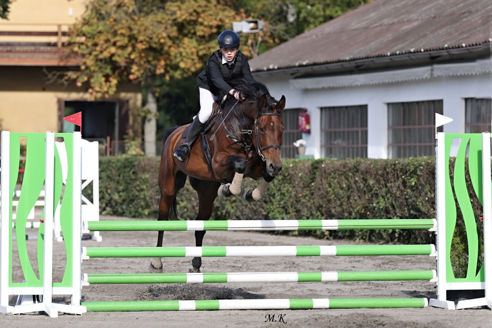 KOBYLKA NA AKTIVNÍ REKREACI / HOBBY SPORT - 10