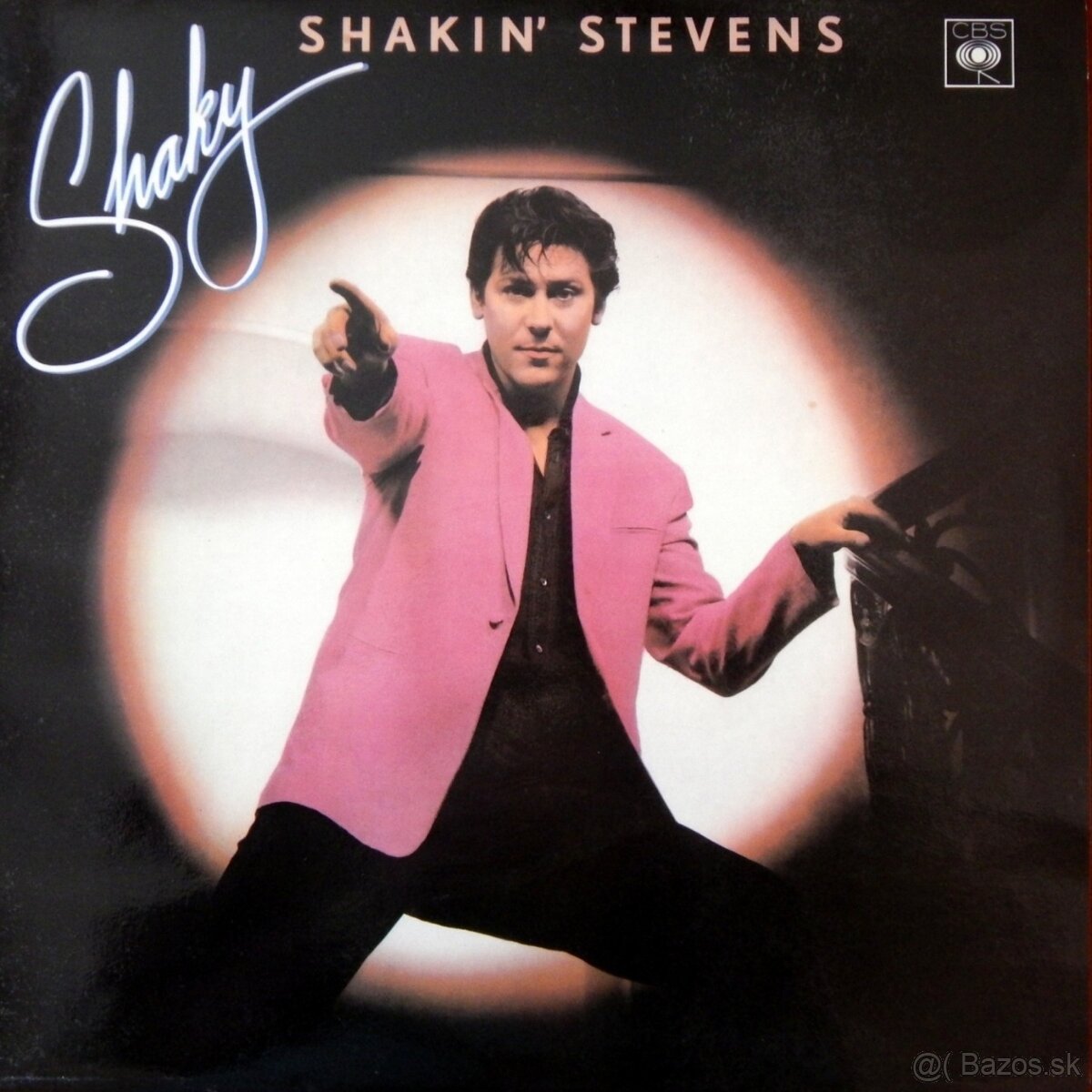 LP Beatles, Tina Turner, Boney M, Wings a i. - 10